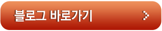 블로그 바로가기